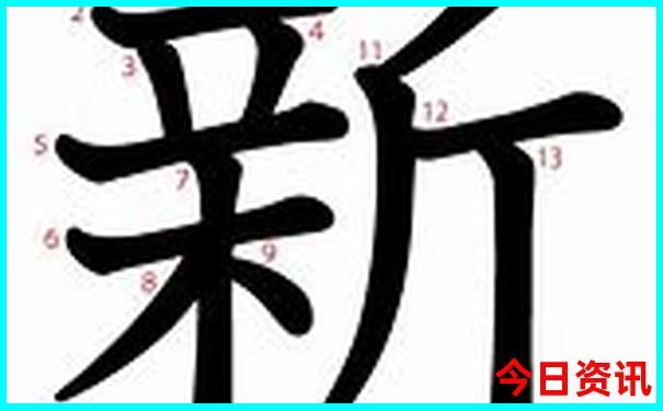 旅游团在哪里报名